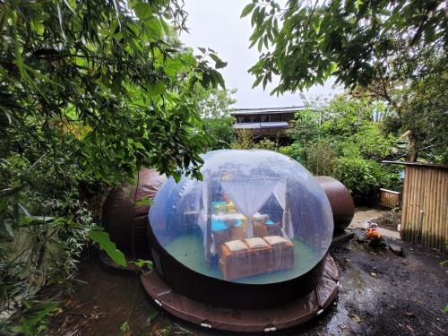 a small house in a bubble in a garden at Mindo GlamBird Glamping & Lodge in Mindo