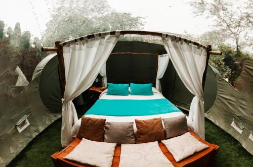 a bed in a tent in the grass at Mindo GlamBird Glamping & Lodge in Mindo