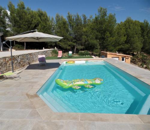 a swimming pool with a inflatable frog in the water at LE SEPT charmant studio aux portes des calanques in Cassis