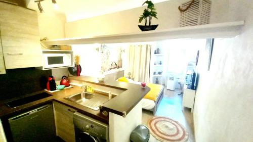 une petite cuisine avec un évier et un micro-ondes dans l'établissement Logement à Cannes Suquet, emplacement privilégié, à Cannes