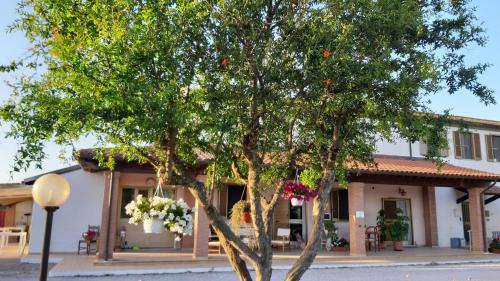 a small tree in front of a building at Agriturismo Corte degli Angeli in Marina di Grosseto