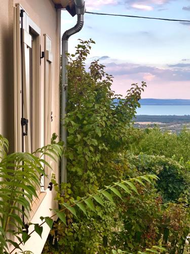 a window of a house with a view of the ocean at Kiskacsa Nyúlontúl in Mencshely