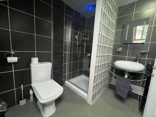 Brae Hoose في آريسايغ: حمام مع مرحاض ودش ومغسلة