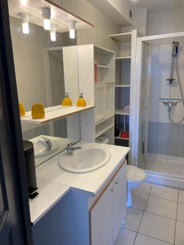 une salle de bain avec un lavabo, une douche et des toilettes dans l'établissement pavillon 2 chambres 1 mezzanine 6personnes, à Saint Pierre La Mer