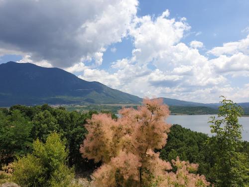 a tree with pink leaves in front of a lake at Mondeus Inn Luxury in Deskáti