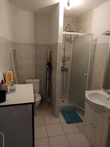 La salle de bains est pourvue d'une douche, d'un lavabo et de toilettes. dans l'établissement la maison de marie, à Amblans-et-Velotte