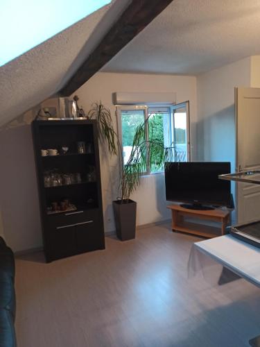 a living room with a television and a book shelf at la maison de marie in Amblans-et-Velotte