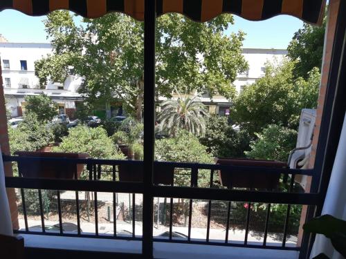 a window view of a garden from a hotel room at Acogedor apartamento en pleno corazón de Triana in Seville