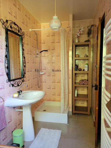 uma casa de banho com um lavatório e um chuveiro em Prince des carrés em Saint-Malo-en-Douziois