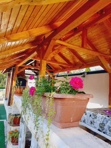a wooden pergola with potted plants on a patio at CAZARE LA ESPAÑOLA in Haţeg