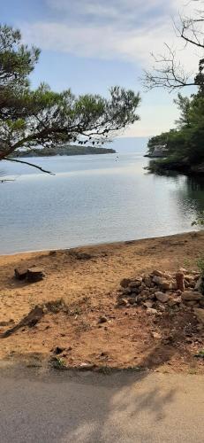 a view of a body of water with a tree at Vila Casa di mare Jelsa, otok Hvar in Jelsa