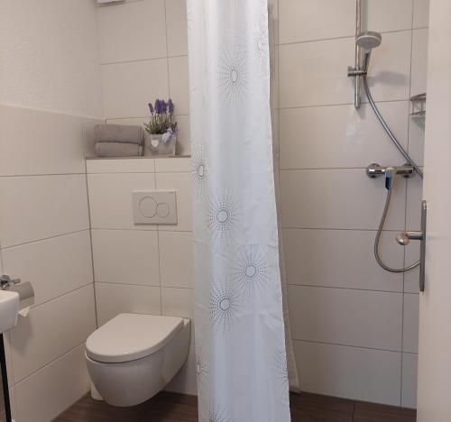 a bathroom with a toilet and a shower curtain at 2 Zimmerwohnung in Bietingen in Gottmadingen