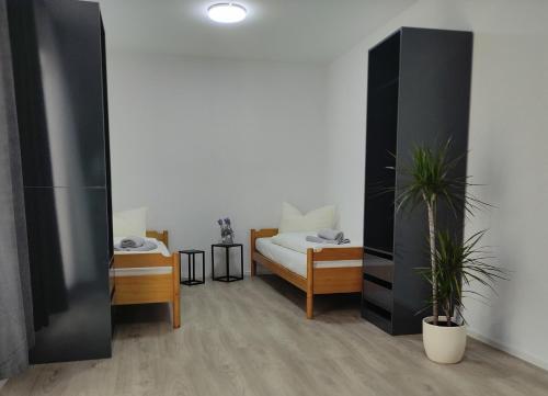 a room with a bed and a potted plant at 2 Zimmerwohnung in Bietingen in Gottmadingen
