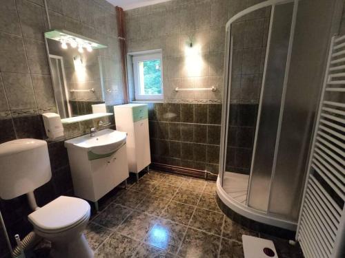 ein Bad mit einem WC, einer Dusche und einem Waschbecken in der Unterkunft Vila Serar in Moieciu de Jos