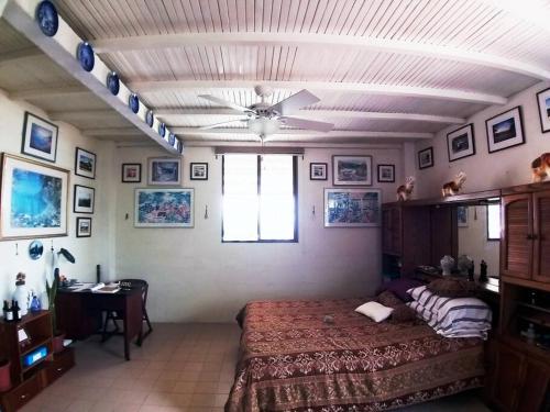 a bedroom with a bed and a ceiling fan at Casa de la colina in Santa Elena