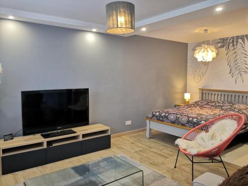 a living room with a flat screen tv and a bed at Superbe cosy T1 Bis Studio 40m2 indépendant en maison avec parking gratuit in Caluire-et-Cuire