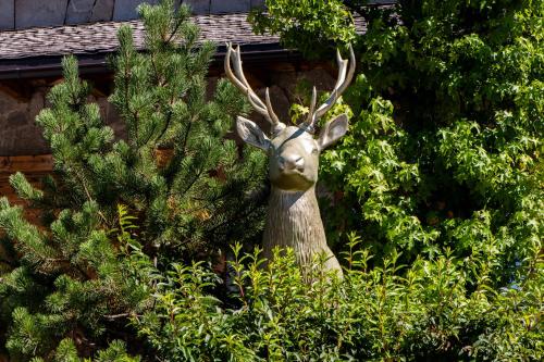Κήπος έξω από το Alpe Chalets Goldener Hirsch
