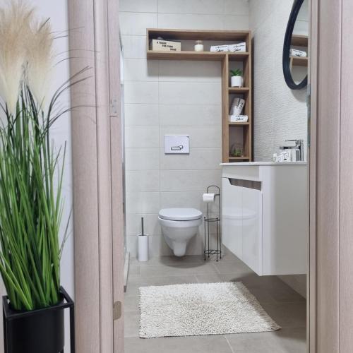 Un baño de Apartman Ivkovic