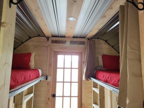 2 łóżka piętrowe w małym domku z oknem w obiekcie THE ORCHARD (HOSTEL WITH PRIVATE BUNKS) w mieście Radium Hot Springs