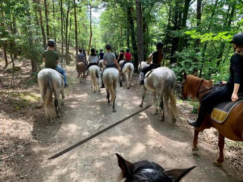 a group of people riding horses on a trail at Le GreenStairs - Ranch du Laubenrain in Jungholtz