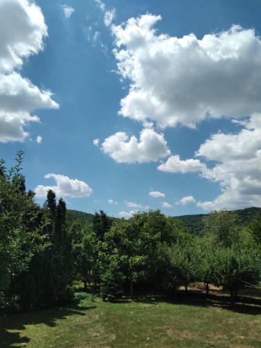 ヴルドニークにあるVila Zvončicaの樹木畑、雲の青空