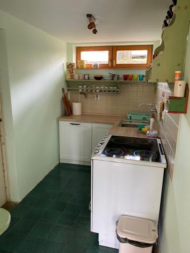 Vila Zvončicaにあるキッチンまたは簡易キッチン