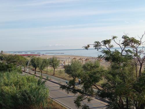 a sidewalk with trees and a beach in the background at Gioiamare in Martinsicuro