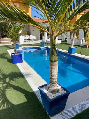 una piscina con palmeras en un complejo en Villa Olivia Maspalomas with private pool en Maspalomas