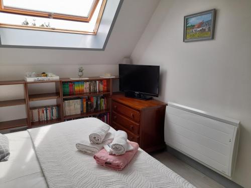 1 dormitorio con 1 cama, TV y libros en Chambre d'hote chez Maud, en Saint-Sauveur-Marville