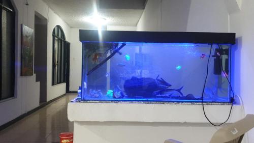 Et tv og/eller underholdning på Mom's house Colombia