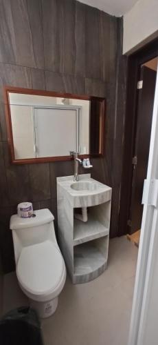 a bathroom with a white toilet and a sink at Hotel Tao in Atlixco