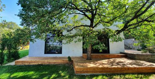 Zahrada ubytování HOUSE G