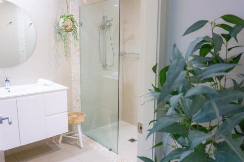 a bathroom with a shower and a plant at Port Stephens Koala Sanctuary in One Mile