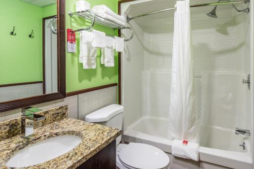 La salle de bains est pourvue d'un lavabo, de toilettes et d'une douche. dans l'établissement Econo Lodge by Choicehotels, à Cadillac