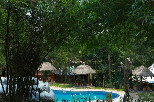 a swimming pool withiki umbrellas and a resort at Pugmarks Jungle Lodge in Chekadi