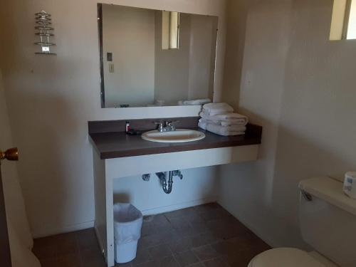 Koupelna v ubytování 66 Motel