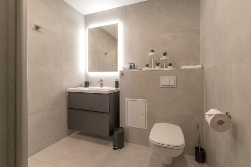 a bathroom with a toilet and a sink and a mirror at Artisa Riia Str 20a Luxury 2BR Penthouse Apartment in Tartu