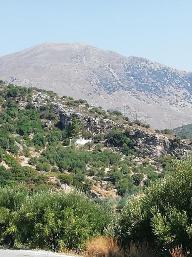 a view of a hill with trees and a mountain at Villa Kalliopi in Lápithos