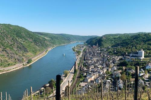a view of a river with a town and a city at Homemade Apartment in Liebshausen