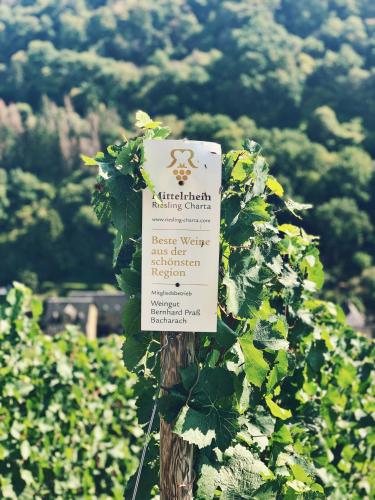 a sign on a pole in a field of grapes at Homemade Apartment in Liebshausen