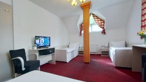 TV/Unterhaltungsangebot in der Unterkunft Hotel Hradec
