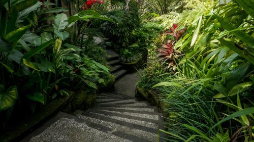 a pathway in a garden with lots of plants at Sakti Garden Resort & Spa in Ubud