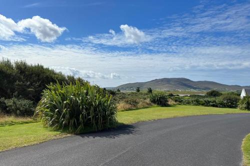 a road with a bush on the side of the road at Achill Sound Holiday Village No 11 by Trident Holiday Homes in Achill Sound