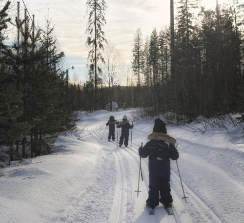 a group of people cross country skiing in the snow at Cozy Stuga - Mountain View in Ramsele