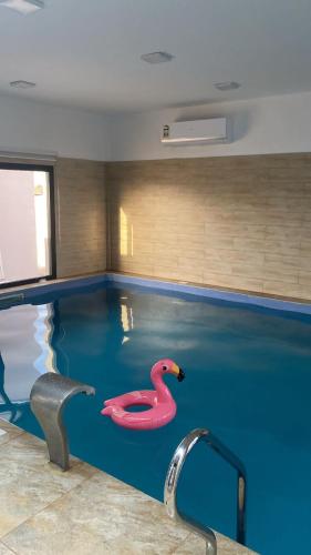 a swimming pool with a pink swan in it at شالية الفضائل in Barka