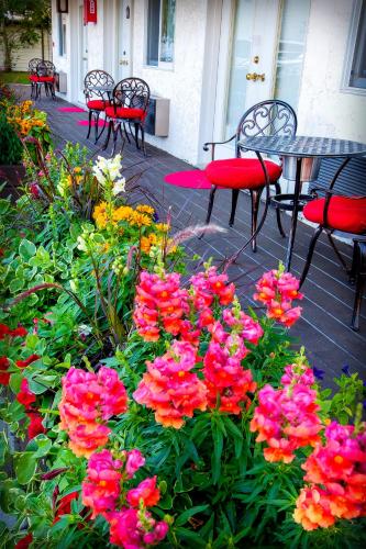 Κήπος έξω από το Bavarian Inn, Black Hills