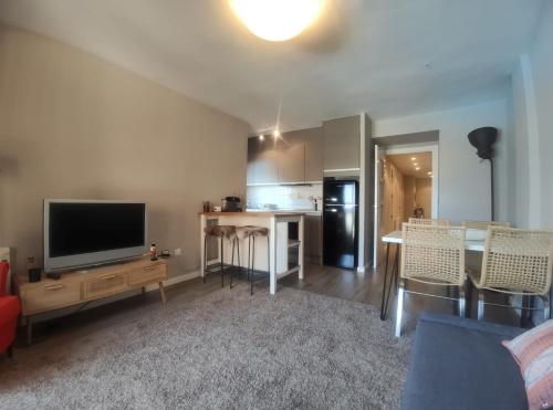 TV a/nebo společenská místnost v ubytování Apartamento D´Ousseau