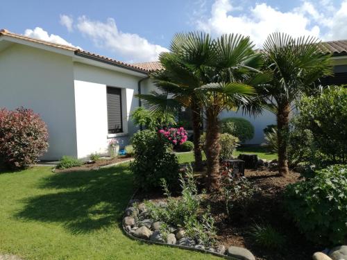 a garden in front of a house with palm trees at les kiwis in Saint-Yrieix-sur-Charente