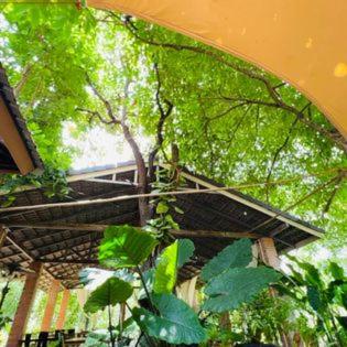 a roof of a building with green leaves on it at Promma Farm Resort in Ban Tat Ton (1)