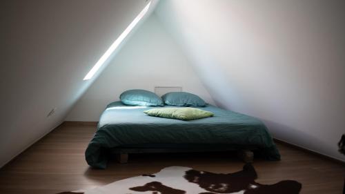 a bedroom with a bed with a cat laying on the floor at SECRET MAMA with mobile aircon, including a free parking space at 200 meters in Colmar